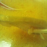 龍上海 - からみそﾗｰﾒﾝ大盛￥1050チャーシュー