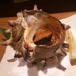 俺の魚を食ってみろ!! - (2014/1/7)サザエ焼き