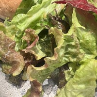 ビストロ クレスタ 麻布十番 - 