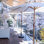 HAUTE COUTURE CAFE OMOTESANDO - 