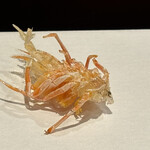 天ぷら たけうち - 車海老の足