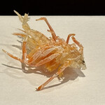 天ぷら たけうち - 車海老の足