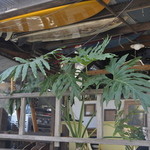 かねよ食堂・カフェ・アートスタジオ - 