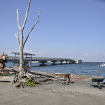 かねよ食堂・カフェ・アートスタジオ - 目の前の浜