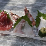 かねよ食堂・カフェ・アートスタジオ - 刺身