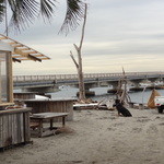 かねよ食堂・カフェ・アートスタジオ - 