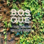 BOSQUE - 