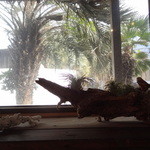 かねよ食堂・カフェ・アートスタジオ - 