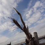 かねよ食堂・カフェ・アートスタジオ - 