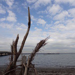 かねよ食堂・カフェ・アートスタジオ - 