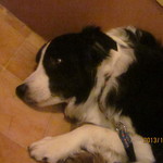 Mar - ちょっと休憩？