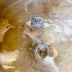 大和 - はまぐりグツグツの図