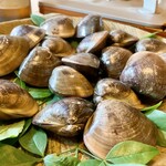 大和 - たまらんやつ！！