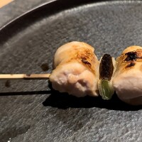 シブ ニシナカス - 