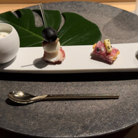 シブ ニシナカス - 