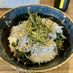 Kamakura Kaisenya - ２色丼