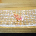 群来膳 - タラバガニ