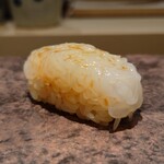 島津 - 佐島の障泥烏賊