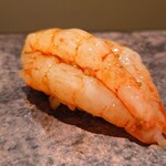 島津 - 追加　江差の縞海老