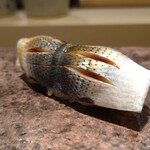 島津 - 熊本天草の小肌