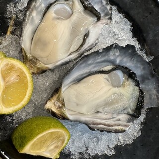 Fresh Oyster delivered directly from the farm are a must-try! Follow us on Instagram for special benefits ◎