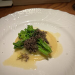 トムクリオーザ - 