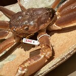 銀座 しのはら - 1kg越えの立派さ