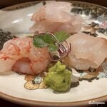 御料理 寺沢 - ぶどう海老､星鰈､鮎魚女の造り