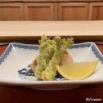 御料理 寺沢 - 河豚の白子の焼白子と楤の芽の天ぷら