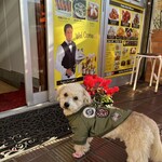 CRYSTAL CURRY & CHICKEN HOUSE - 