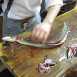 かぶと - 天然物