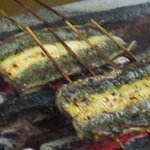 かぶと - 天然もの