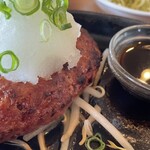 Kyukyoku no Hamburger steak ZEST