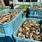 浦村カキ 英治丸 - 養殖場からトラックに乗って牡蠣がやってきます！