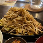 地鶏焼 かがり火 - もやしとキャベツがうず高く