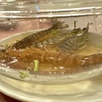 235207369 - 酔っ払いエビ