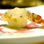 鮨 井上 - 車海老