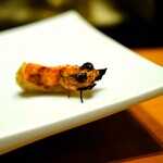 鮨 井上 - 車海老の頭