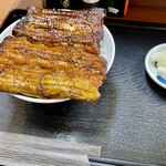 うなぎ 丸富 - うな丼