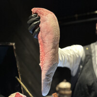 西麻布 焼肉 X - 