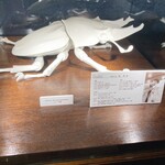 SALONE TOKYO - 入店すると迎えてくれるクワガタ。こちらはサローネの各店舗にある白磁の置物で、「SALONE TOKYO」はクワガタで、他の店舗はまた違う生き物なんだそうです笑 