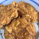 ニュー飯店 - ヒレカツ丼　旨そうじゃ　¥８８０