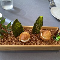 プレヴナンス - 