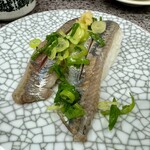 西伊豆の回転ずし　伊豆ととや - 京王新宿店「静岡うまいもの大会」