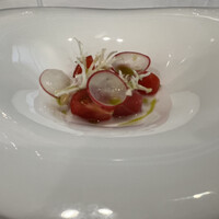 RISPETTO - 