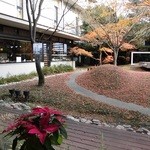 Gekijouryokankawatanagurandohoteru - お店に隣接する中庭