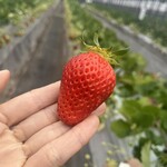 姫路ハートフル観光農園 - 