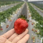 姫路ハートフル観光農園 - 