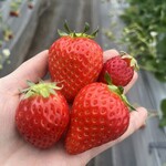 姫路ハートフル観光農園 - 