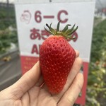 姫路ハートフル観光農園 - 